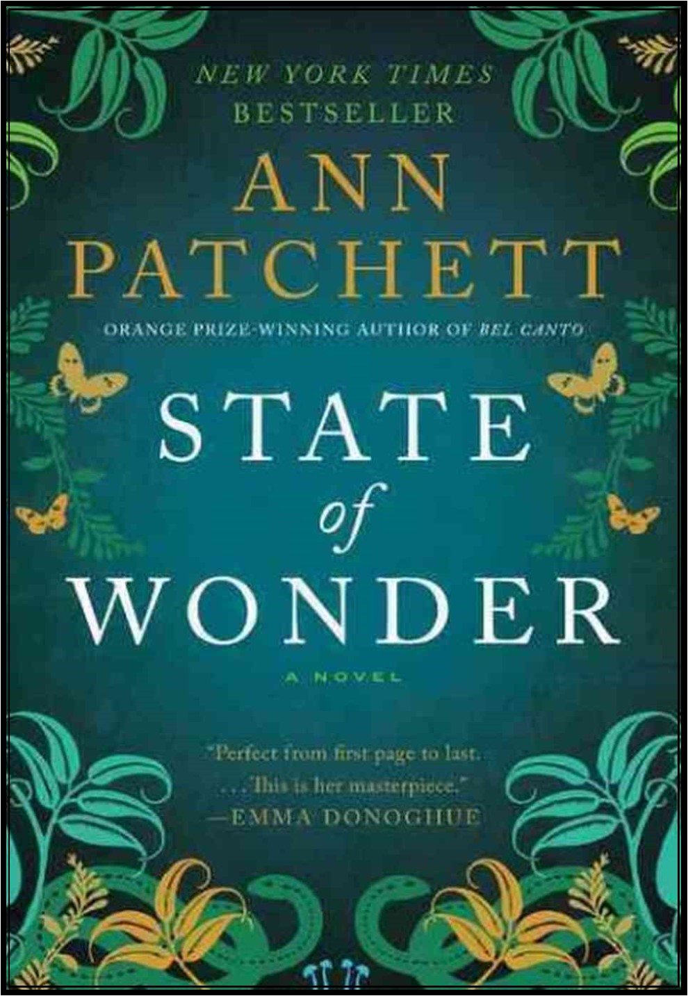 Book cover for "State of Wonder"