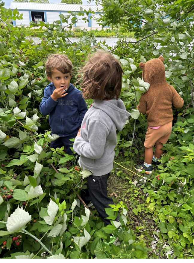 The Taste of Childhood by Ula Klein