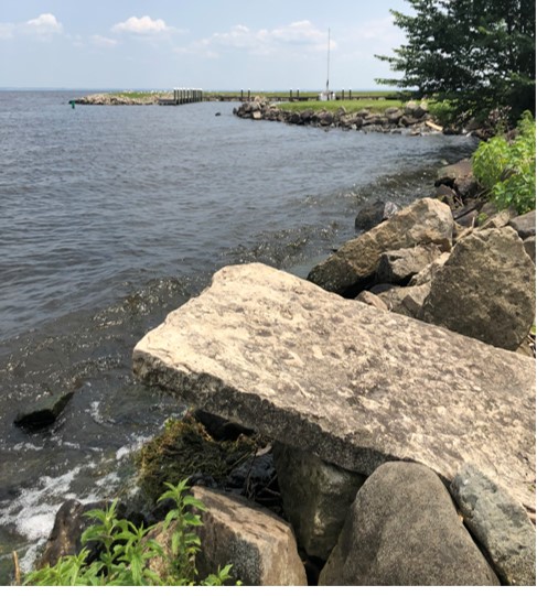 Shore Line Close-Up by Beth Stanton