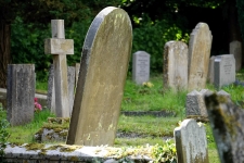 Winnefox Vital Records resource image of an old cemetery with moss on the leaning tombstones