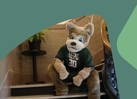 Herd Mascot sitting on stairs.